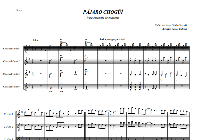 Pajaro Chogüí de Guillermo Breer (Indio Pitaguá)